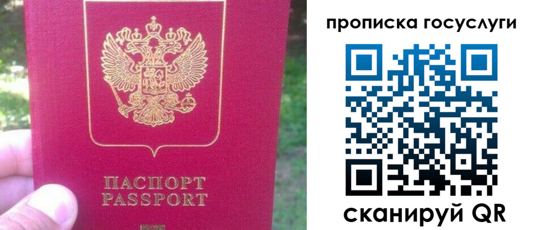временная регистрация собственник в Королёве